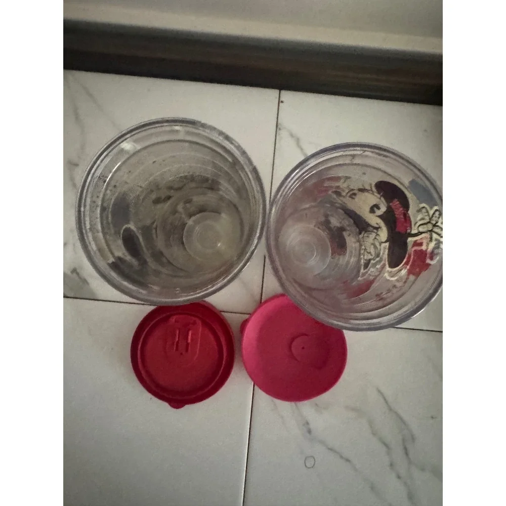 Disney Tervis Tumbler Set Mickey Minnie Mouse Insulated Travel Cups with Lids